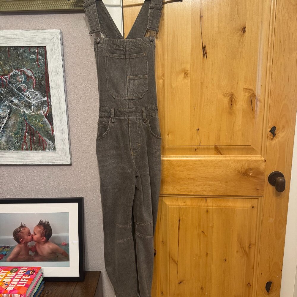 Free People We The Free Goodluck Barrel Overalls